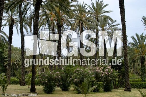 Sizilien (301 von 565).jpg